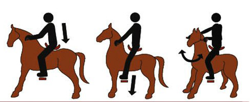Balade à poney – vue 10