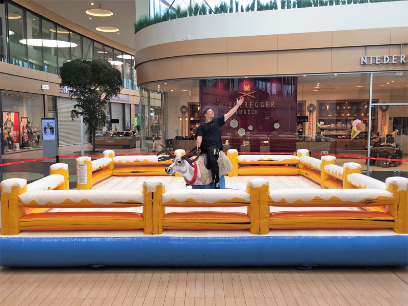 Rentier Rodeo – Ansicht 2