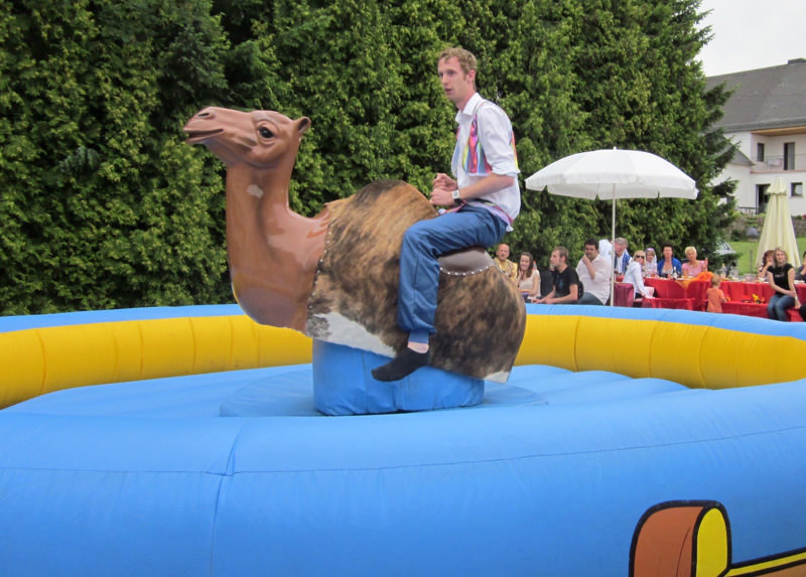 Kamel Rodeo – Ansicht 3