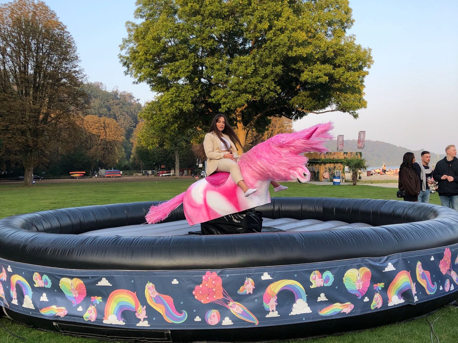 Rodeo Einhorn