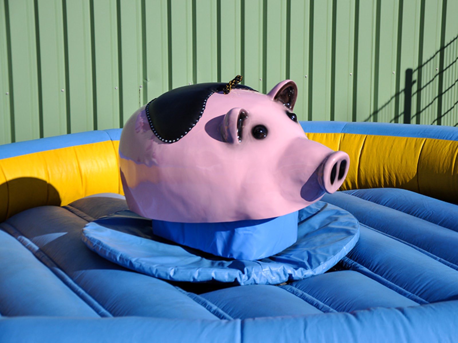 Rodeo Schweinchen – Ansicht 2