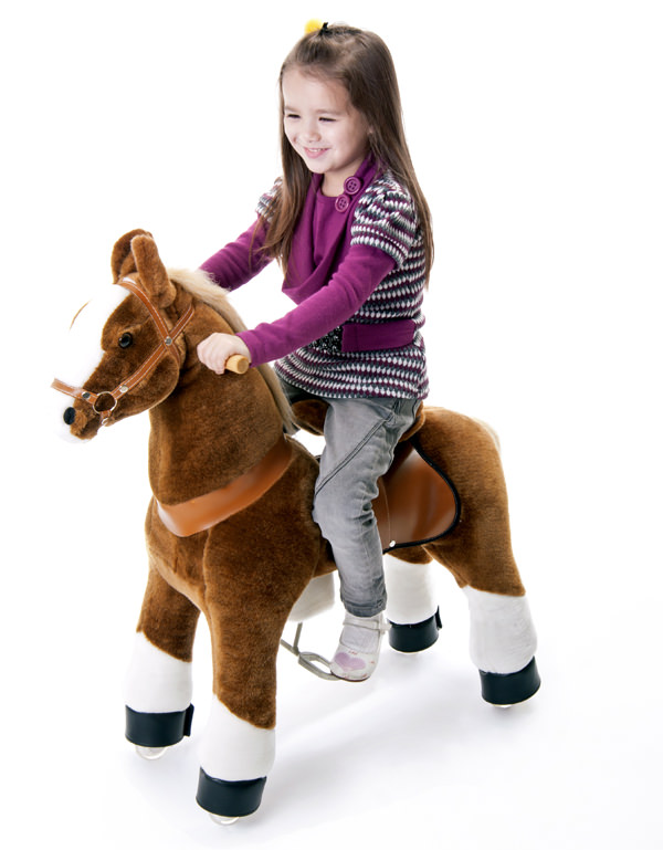 Balade à poney – vue 12