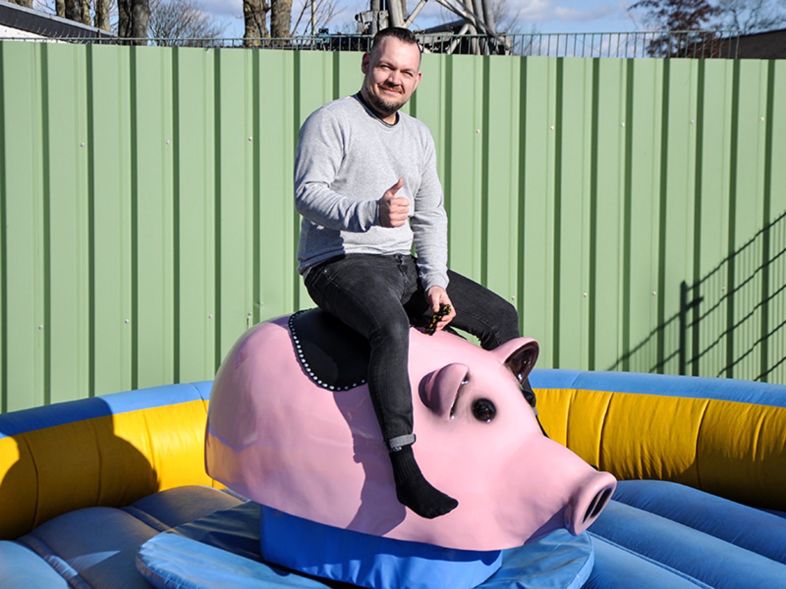 Rodeo Schweinchen