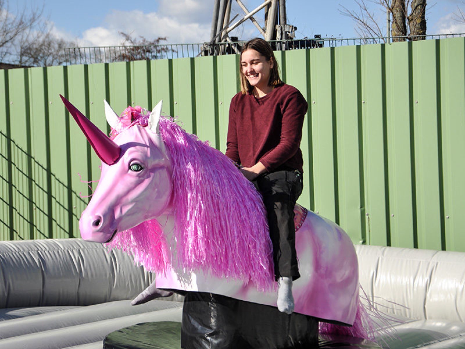 Rodeo Einhorn – Ansicht 2