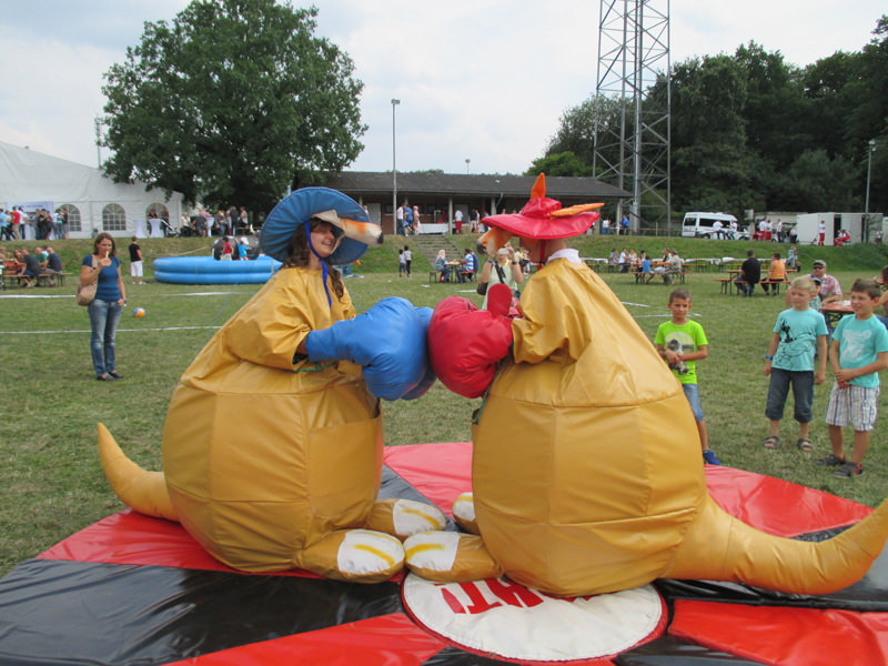 Kangaroo Boxing – Ansicht 2