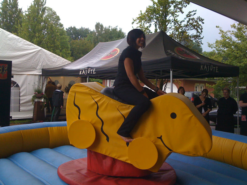 Enten Rodeo – Ansicht 10