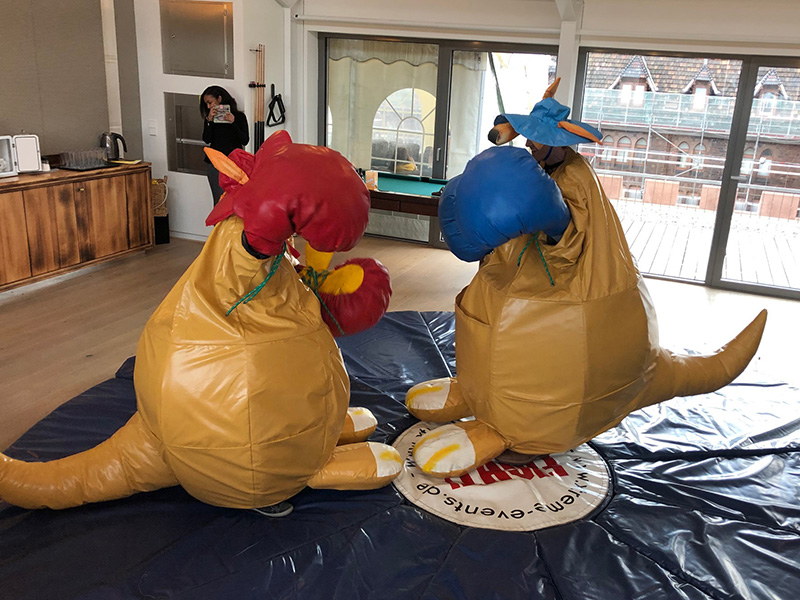Kangaroo Boxing – Ansicht 7
