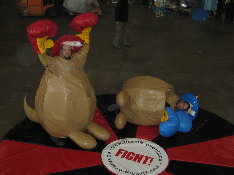 Kangaroo Boxing – Ansicht 3