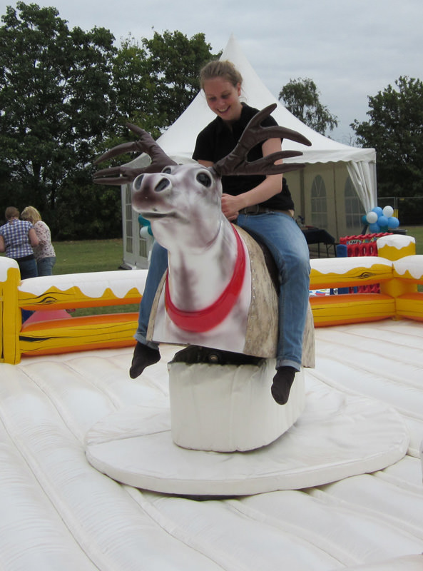 Rentier Rodeo – Ansicht 8