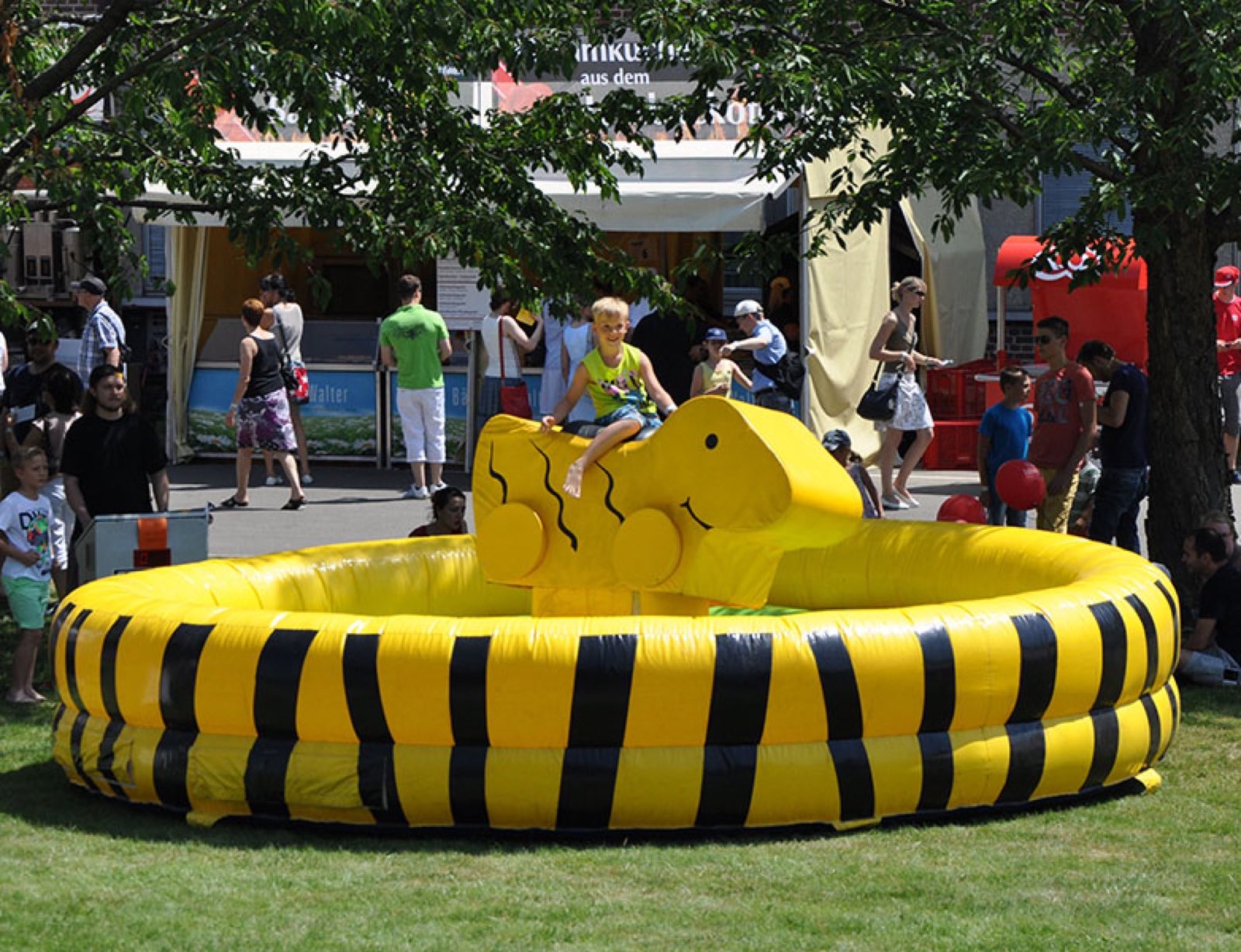 Enten Rodeo – Ansicht 2