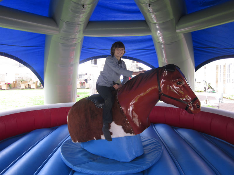 Rodeo Pferd – Ansicht 7