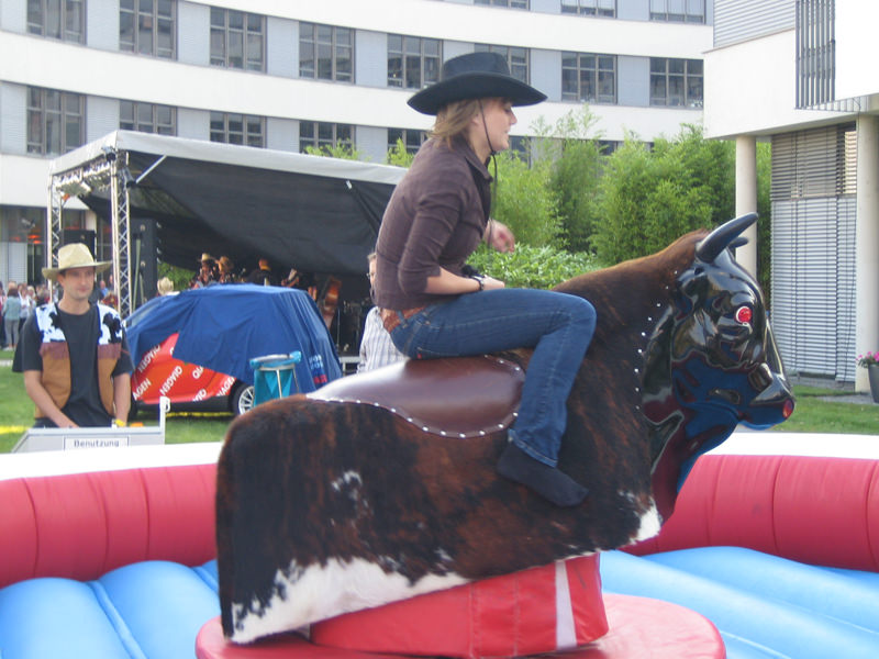 Bull Riding – Ansicht 10