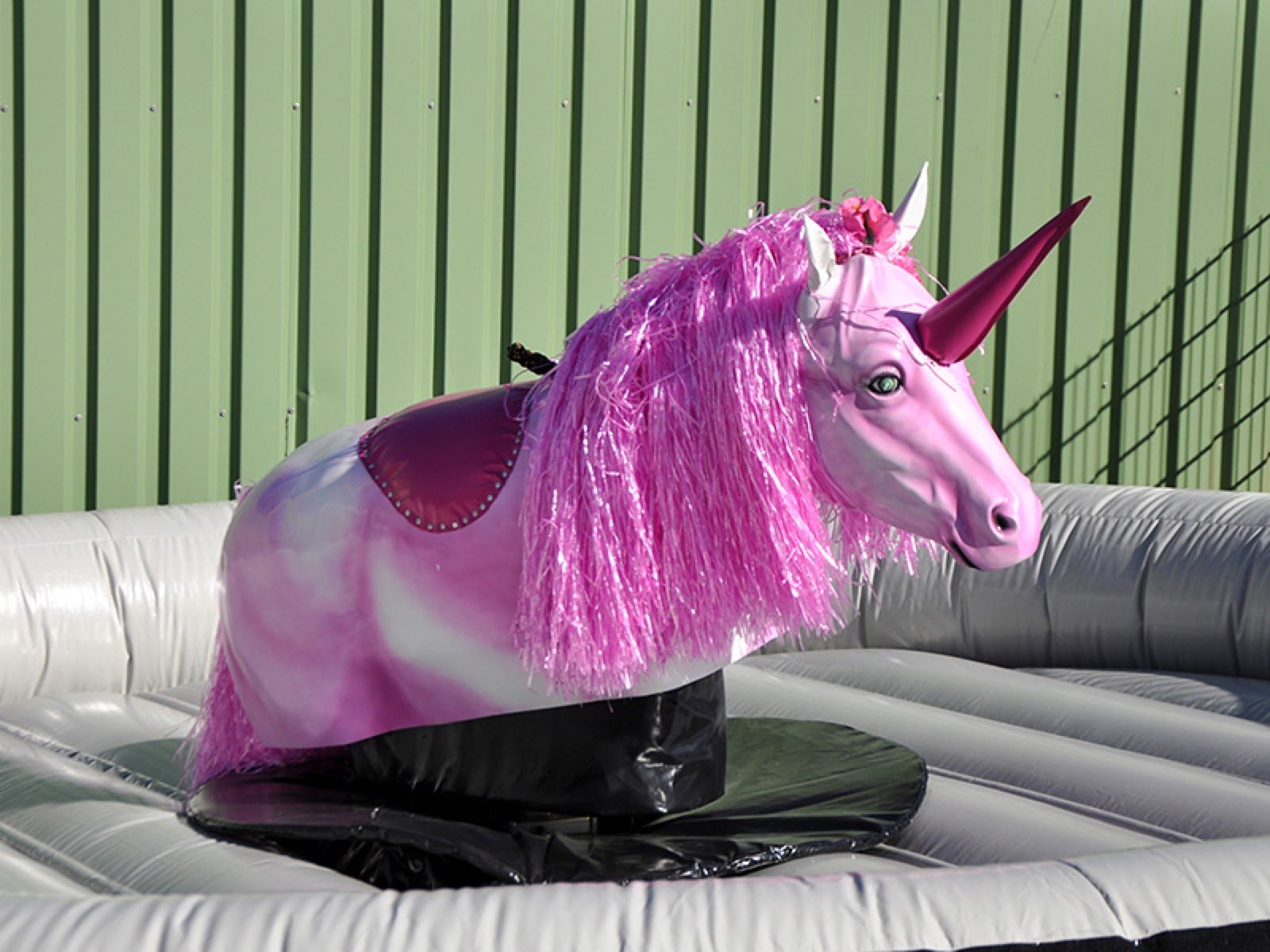 Rodeo Einhorn – Ansicht 3
