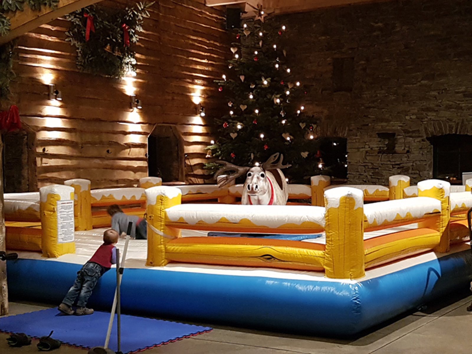 Rentier Rodeo – Ansicht 4