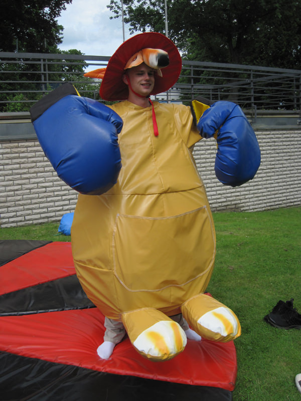 Kangaroo Boxing – Ansicht 6