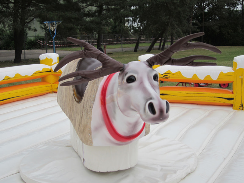Rentier Rodeo – Ansicht 7