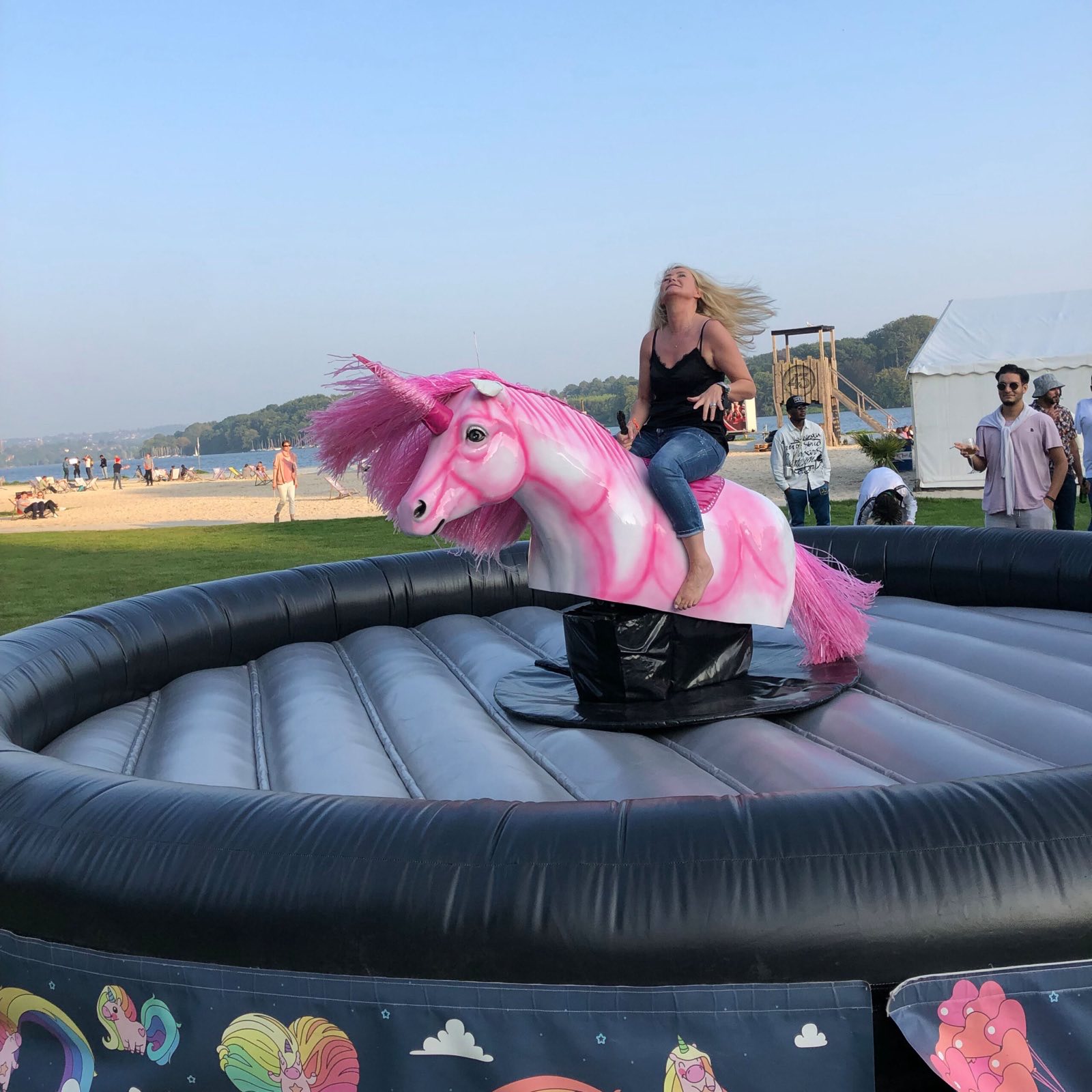 Rodeo Einhorn – Ansicht 4