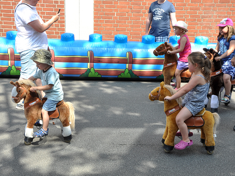 Balade à poney – vue 8