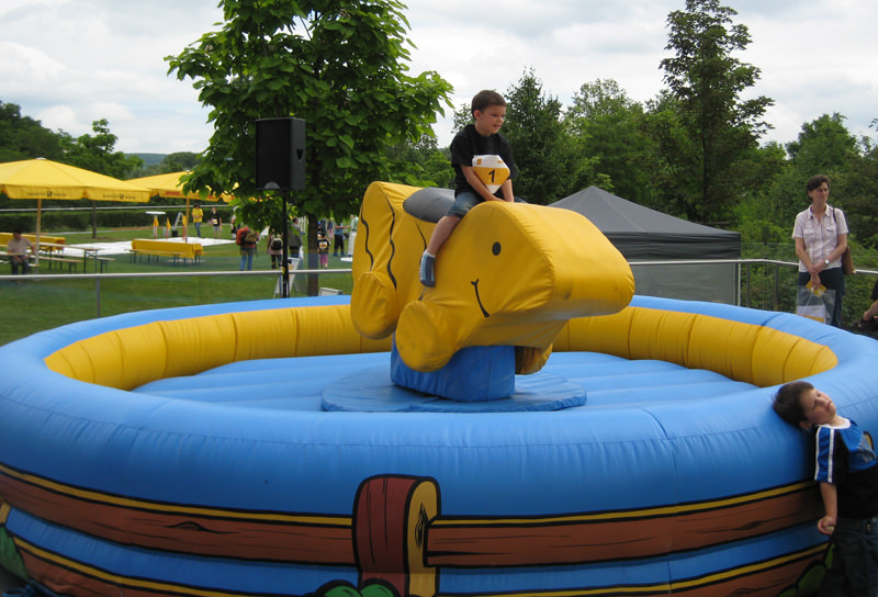 Enten Rodeo – Ansicht 7