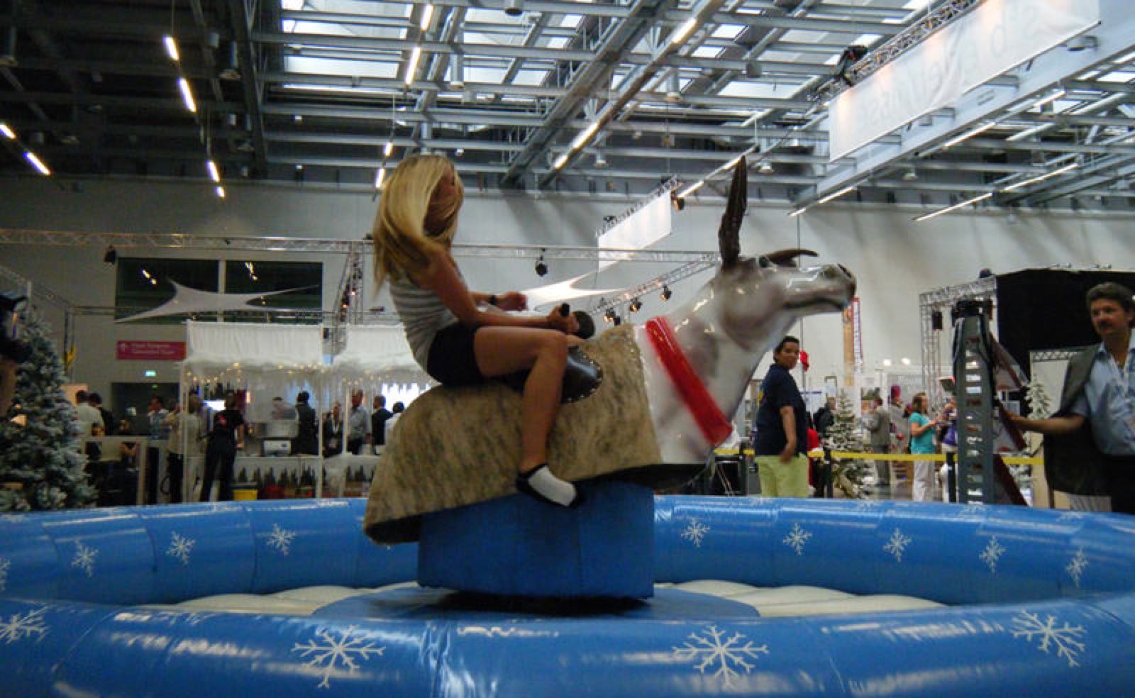 Rentier Rodeo – Ansicht 5