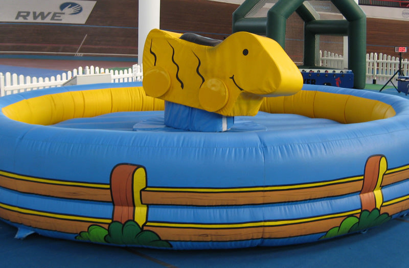 Enten Rodeo – Ansicht 8
