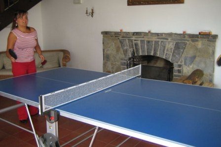Table Tennis Table – view 8