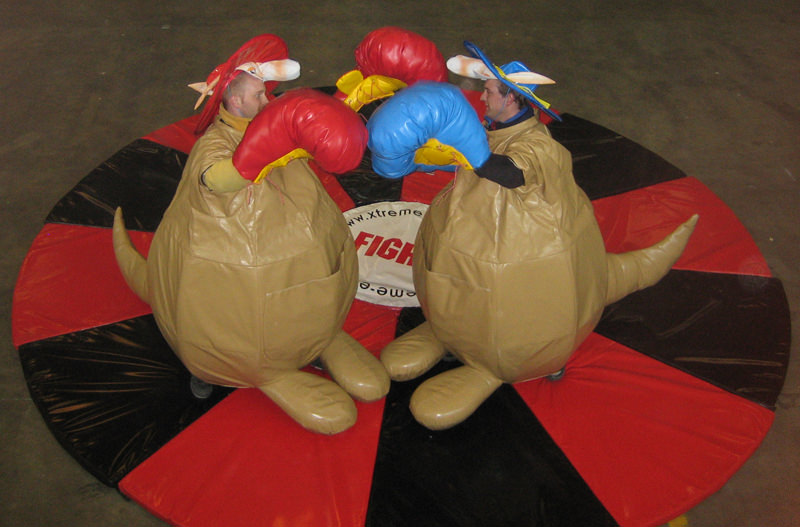 Kangaroo Boxing