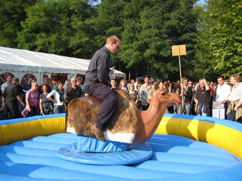 Kamel Rodeo – Ansicht 6