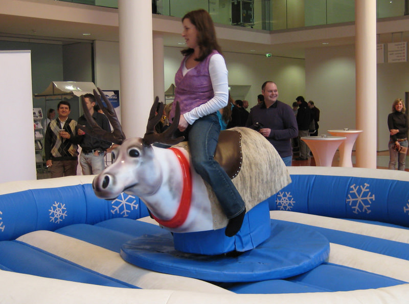 Rentier Rodeo – Ansicht 6