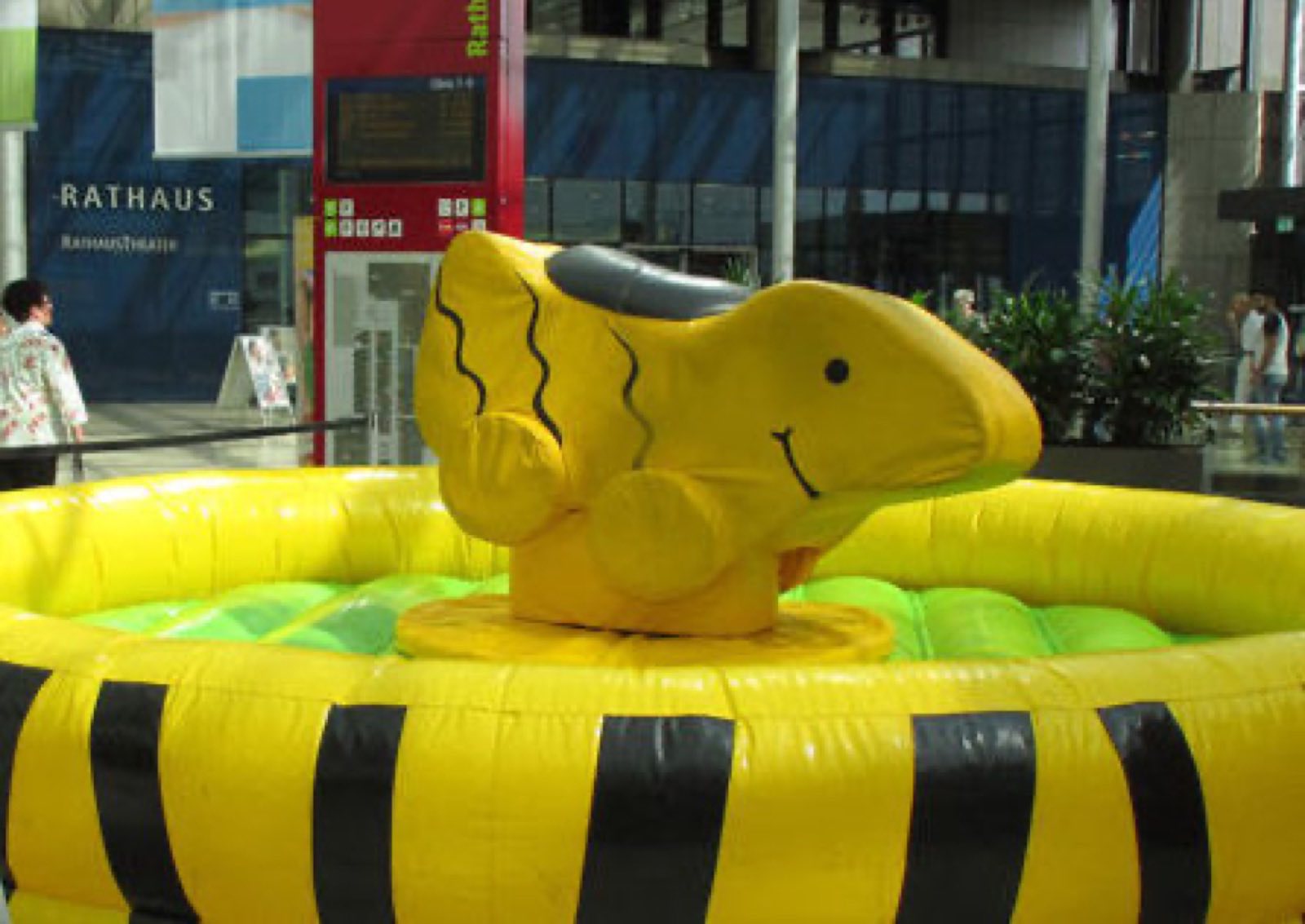 Enten Rodeo – Ansicht 5