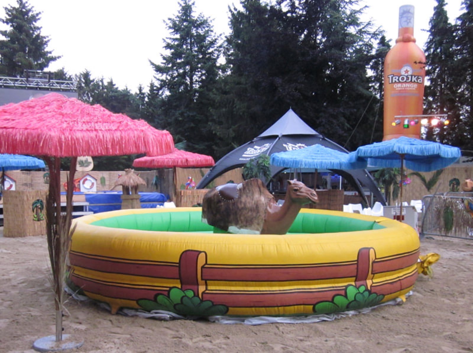 Kamel Rodeo – Ansicht 5