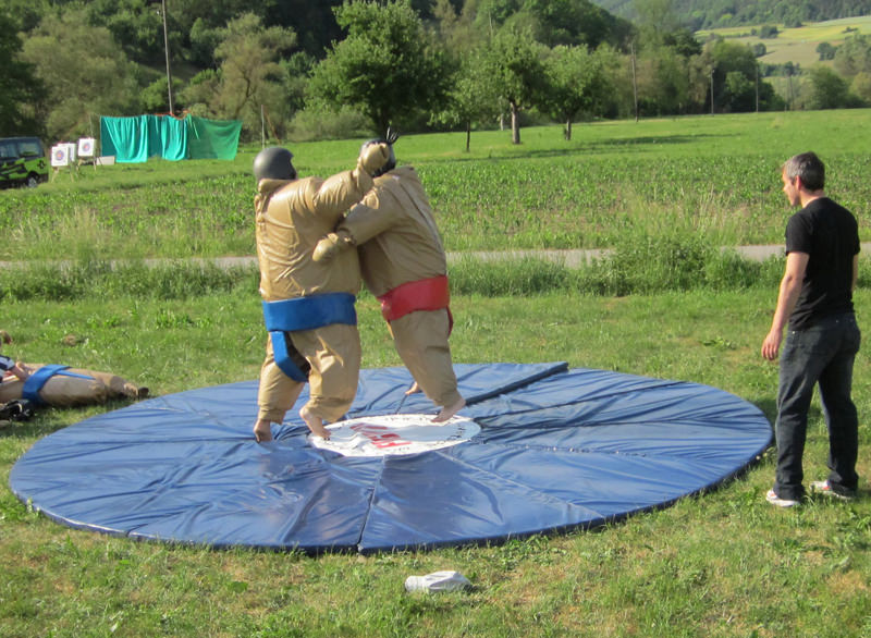Costume de sumo