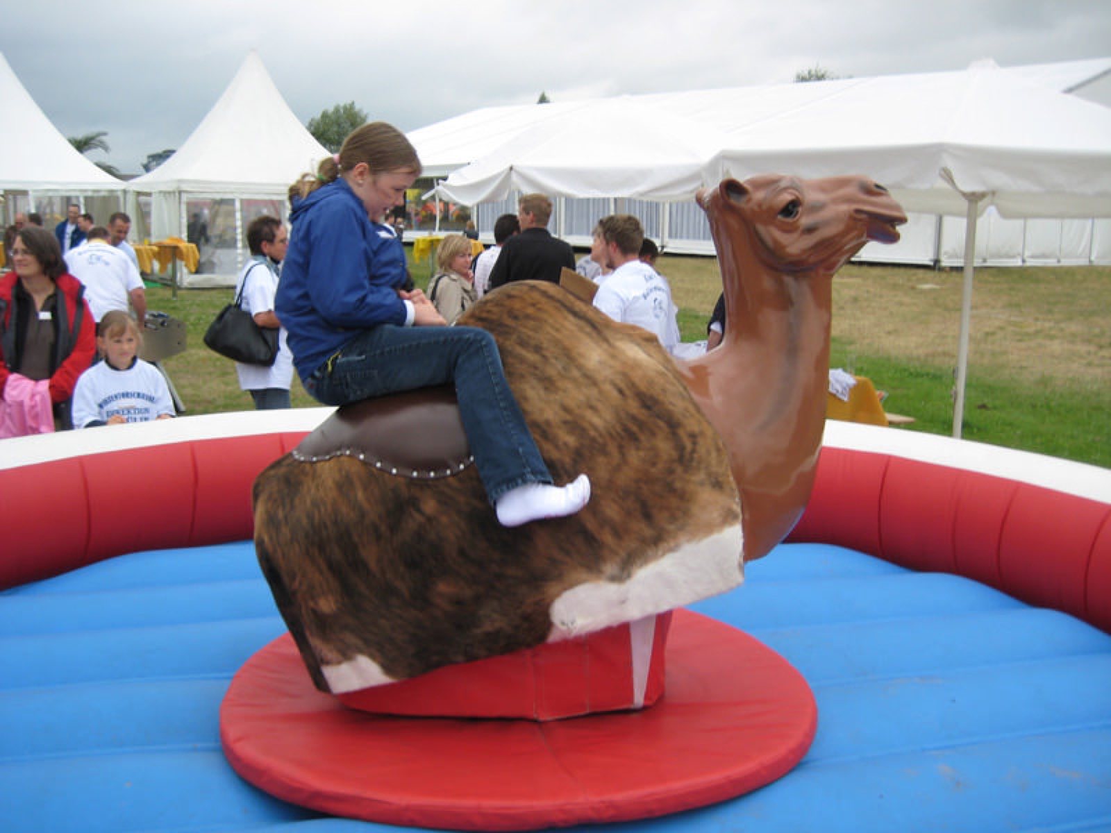 Kamel Rodeo – Ansicht 4