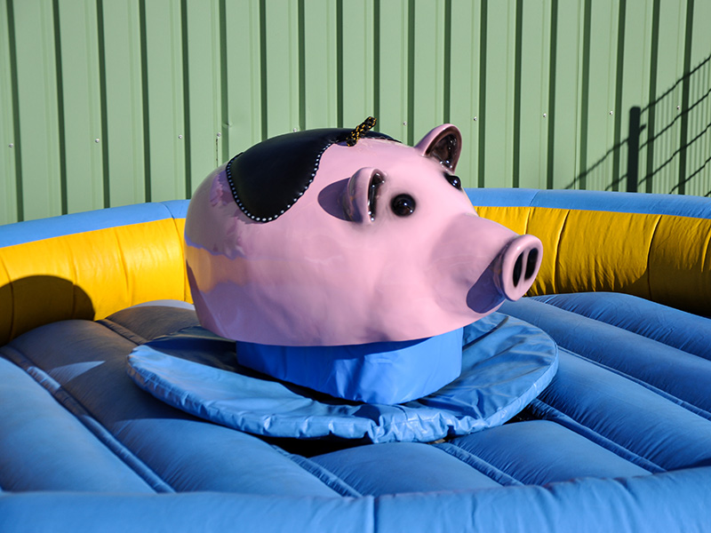 Aufblasbares Schweinchen-Rodeo auf blau-gelbem Luftkissen