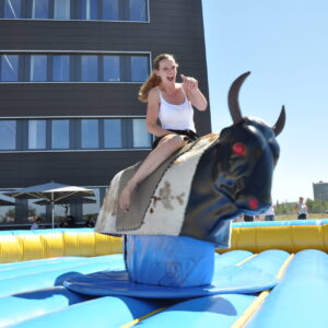 Bull Riding
