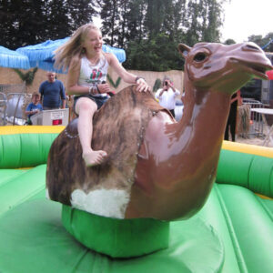 Kamel Rodeo Verleih