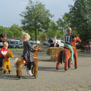 Pony reiten mieten