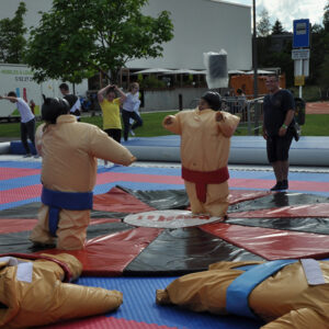 Sumo_Wrestling_mieten