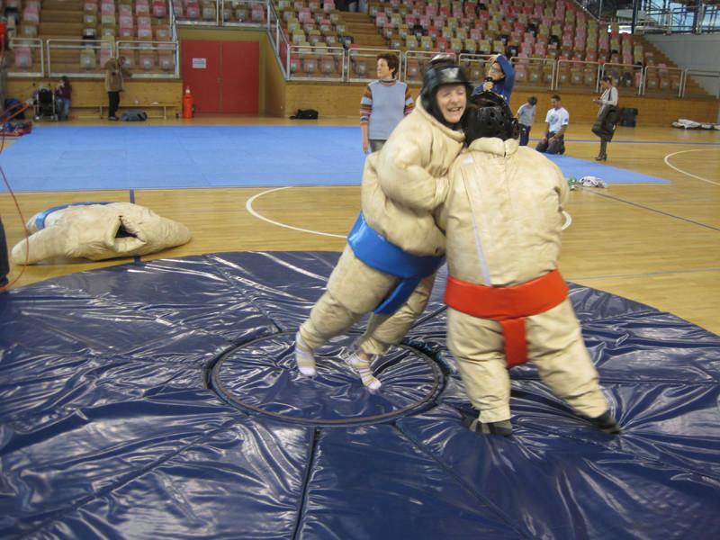 sumo wrestling simulator