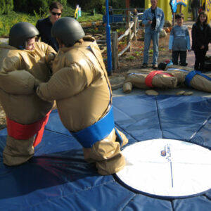 Sumo_Wrestling_Branding_04