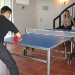 Tischtennis Platten Mieten